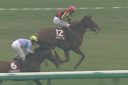 【競馬】オルフェーヴルとゴールドシップってどっちの方が人気なの？