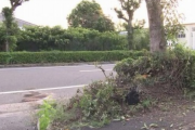車が街路樹に衝突して生後7ヶ月の赤ちゃんが死亡、母親も重傷・・・