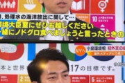 小泉進次郎「俺は悪くない」