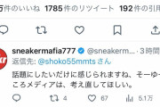 【正論】中川翔子さん、マスコミのルフィ呼びに対して正論wwww