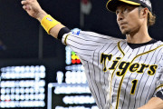 やっぱり鳥谷はロッテなんか？