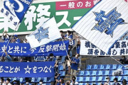 阪神ファン『横浜DeNAが怖い。交流戦なのに全く落ちない』