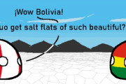 【ボリビア】塩類平原【ポーランドボール】