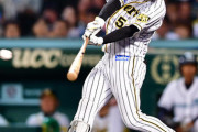 【朗報】阪神タイガース野手陣の今月の打率、実は優秀だった