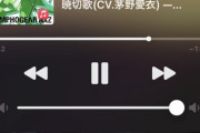 電車ワイ「（………？なんか音小さいンゴ…）」音量ポチポチポチポチポチポチポチポチ