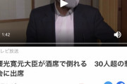 【ガイジ国家】菅総理｢5人以上の会食止めて?｣　自民党国会・県・市議会議員｢何言ってんだこいつ｣