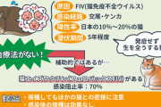 HIV患者、なぜか1.68％しかコロナ発症せず