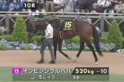 インビンシブルパパ　豪G1 ジ・エベレストの出走馬候補に