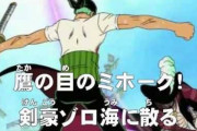 ゾロ「背中の傷は剣士の恥だ」ミホーク「見事」
