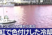 【画像】オリオンビールの工場から冷却水が流出した結果、エヴァのシーンみたいになる