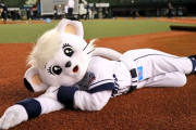 【朗報】西武のライナちゃん、かわいい