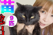 【正論】中川翔子「YouTubeのおすすめに猫を虐待しているようなサムネの動画がでてくるのが不快…」
