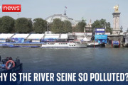フランス五輪：セーヌ川を泳いだ選手たちが続々と体調不良を訴え棄権…水質汚染が指摘される[海外の反応]