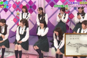 【乃木坂46】懐かしすぎるwww 日村が過去に乃木どこ？で描いた『クジャク』がこちらwwwwww