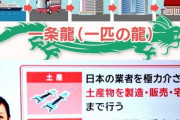【習近平ありがとう】中国の訪日自粛政策によって中国人経営の中国企業が大打撃「最近の損失が約2000万～3000万円に上る」