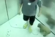 【動画】これはきつい。エレベーターのリード事故で愛犬が死んでしまう。