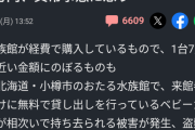 【悲報】水族館の無料貸出ベビーカー(1台7万)、続々と持ち去られる