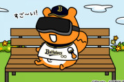 【オリ報】バファローズポンタさんVR観戦で勝利