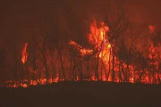 韓国でここ10年で最大の山火事……巨大なLNGタンクや原発がすぐそばに