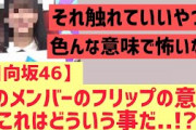 【日向坂】○○のフリップの意味、どんな意味か気になる件・・・