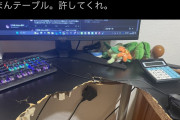 【画像】チーズ、ブチギレて机を破壊してしまう……
