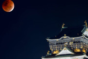 今夜のスーパームーン皆既月食中に願い事をすると良いらしいよ！！！