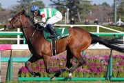 【競馬】バウンスシャッセ引退
