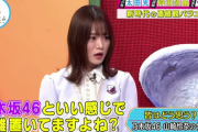 【悲報】山崎怜奈、外番組で「乃木坂46と距離おいてますよね？」と言われてしまう...