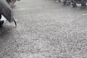コミケ、豪雨で大惨事に