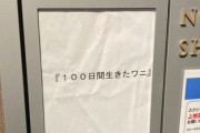 「100日間生きたワニ」←これが生き残る方法真剣に考えようや