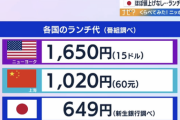 【悲報】日本のランチ代、海外の半分だった