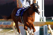 19年フェブラリーS勝ち馬インティ種牡馬入り