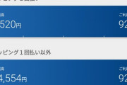 【画像】あれ…？？？オレ給料12万だよな…？？？