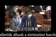 【超絶悲報】安倍の晋さん、勝手に「大ハンガリー帝国主義者」に仕立て上げられる