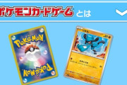 ポケカ買ってる人って殆どが転売目的なん？