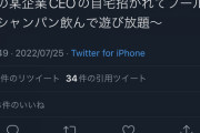 【闇深】乃木坂46メンバー、英語3文字企業社長の自宅プールで酒池肉林パーティ疑惑