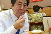 安倍さんジューシーって言ってよ〜！こういうのが流れると、まだ健在なのかと錯覚するんだよね。一瞬、安倍元総理大臣が戻ってきた、と錯覚してしまった。