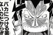 【ONEPIECE -ワンピース】チョッパー「なんだこの毒！？手に負えねェ！！ヤベェぞ！」←これでチョッパー見限った奴多いよな？？？？？