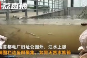 【画像】中国の道路、水族館になるｗｗｗｗｗｗｗｗｗｗｗｗｗ