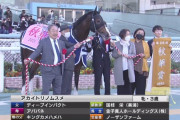 【秋華賞】金子オーナーの思い通りの結果になった件
