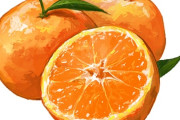 【🍊】「人生で一番みかん食べた」 愛媛・松山市の朝食バイキングが話題