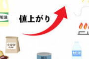 【超悲報】11月に値上げの食品や飲料が800品目を超えてしまう