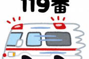 【悲報】日本で救急車を呼ぶ人の半数「蚊に刺されてかゆい」「海水浴の日焼けがヒリヒリする」「紙で指先を切った」「病院に行きたい」