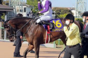 【皐月賞3着】ガロアクリーク、日本ダービーへ　鞍上は未定