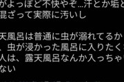 YouTuberおーちゃんねる、カマキリを旅館の露天風呂に入れて炎上