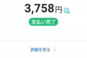 【悲報】ワイジ、ペイペイのせいで金銭感覚がなくなる