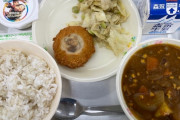 韓国人「日本の小学校　給食の質の低下をこれでごまか酢のか？」