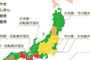 大判焼き、今川焼、回転焼き、←チッチッチッ☝️