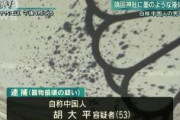 靖国神社に墨汁をかけた中国人、愛国無罪を主張