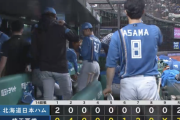【悲報】日本ハム10連敗、話題にならない